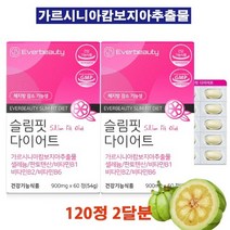 슬림핏다이어트 가르시니아 셀레늄 비타민 미네랄 체지방감소 HCA 120정