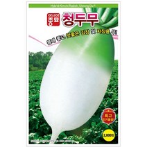 청두무 2000립 가을 김장 대표 무 씨앗 바이러스 강함 재배 쉬운 종자 저장 김치 텃밭 채소 농사
