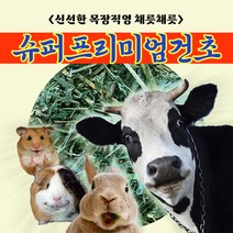 채릇채릇 건초 티모시 알팔파 연맥 압축소분 손질 토끼 기니피그 햄스터 친칠라 사료, 압축 소분 건초 2kg