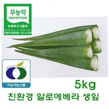 친환경 알로에베라 생잎5kg