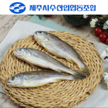 100% 국산 제주 참굴비 제주시 수협 제품 진공굴비 상(대) 사이즈 (19~22cm), 제주참굴비-20마리