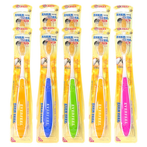 에버필 금칫솔 이중 미세모 약국전용 칫솔 10개