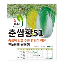 배추씨앗종자) 춘쌈황51(1000립) S1027