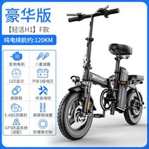 접이식 전기자전거 소형 대리운전 차토바이 미니 배달 여행, 48V, 디럭/30A약120km/인버터대전기/S배터리