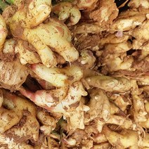 완주 봉동 생강, 1kg