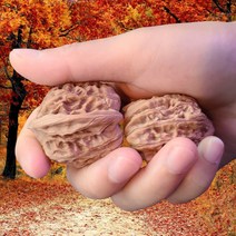 1세트 두근두근 펀안한 손지압 손마사지 감성체험 내마음을달래주는 명품 장수 장흥 귀족호도 2개, 호도2알 1세트