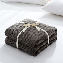 여름용 차렵 이불 슈퍼 소프트 블랭킷 플란넬 침대 스프레드 메쉬 휴대용 자동차 여행 커버 산호 양털 모피 애완 동물 어린이 침구