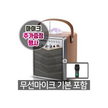 NEXTBT30AMP 블루투스 노래방 스피커 마이크 미러볼, NEXT-BT30AMP 블루투스 노래방
