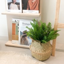 부카즈 고사리 부쉬 - 노무라 조화 야자수 화분 데스크테리어 나무 이케아인조식물 인테리어 보스턴, 단품