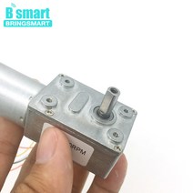 웜기어 감속기 모터 Bringmart JGY-2430 브러시리스 12 볼트 24V DC 웜 기어 모터 자동 잠금 가역 브레이크, 03 12V 18rpm