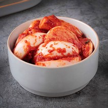 남도미향 [땅끝홈밀]HACCP 해남직배송 양파김치 1kg, 1