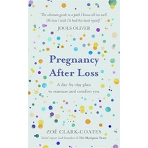 (영문도서) Pregnancy After Loss: A Day-By-Day Plan to Reassure and Comfort You Hardcover, Spring, English, 9781409195948