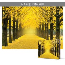 1000피스 직소퍼즐 액자세트 - 황금빛 은행나무 길 2 (액자포함), 단품, 단품
