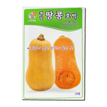 제일 땅콩호박(버터넛 스쿼시) 10립