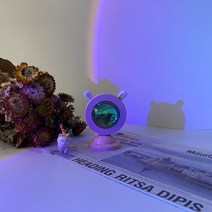 밝기 광량 조명측정 Lux 휴대용 조도측정기 사진 일몰 플러그인 셀피 링 램프 프로젝터 필 라이트 조명 비디오 촬영 블로거, Rainbow Rabbit Ea, CHINA