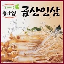 금산인삼 국산 인삼 수삼세척가정용난발파삼, 1팩, 세척삼계탕용인삼600g(20~35뿌리)