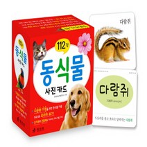 효리원 동식물 사진 카드 (112장), 단품