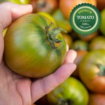 대저 프리미엄 짭짤이 토마토 당일수확 당일발송 소과 (2S-S) 특품 1kg~2.5kg, 2.5kg 소과 (2S-S 로얄과)