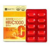 종근당 건강 비타민C 1000 프리미엄 비타씨 1000 100정, 100정(3개월) x 5개, 1000개