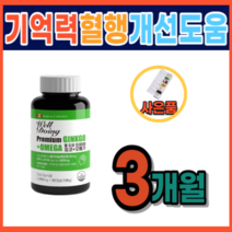 기억력 개선 뇌건강 은행잎 추출물 집중력 장애 저하 감퇴 기능 향상 개선 에좋은 식품 식약처 정맥순환개선 하지정맥 다리 혈액순환 피 맑게 하는 영양제 음식 건조한 눈 약 3개월분, 1통, 90캡슐