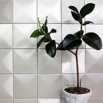 DIY 아트 쿠션타일 작은사각(140x140mm) 양면테프 간단시공 안전푹신 쿠션 방음 단열 인테리어 산뜻, 색상 색상/베이비블루