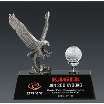 골프트로피 골프패 이글패 싱글패 홀인원 알바트로스 기념패 트로피 상패 광주 전주 대전 부산 대구트로피