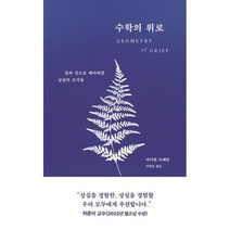 수학의 위로:점과 선으로 헤아려본 상실의 조각들, 마이클 프레임, 디플롯