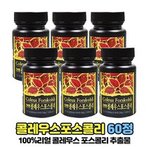 콜레우스 포스콜리 추출물 분말 가루 정 알약 타입 100% 코레우스 콜레우스포스 콜리우스포스콜린, 60정 x 6개