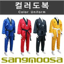 상무사 무술 칼라도복 태권도 특공무술 합기도 시범단공연 단체공연