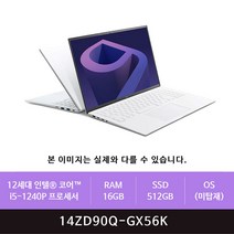 LG그램 14ZD90Q-GX56K 256GB 추가