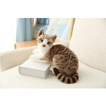 고양이 실사 인형 동물 피규어장식 인형 쿠션 러시안블루 샴, 20 cm, 6