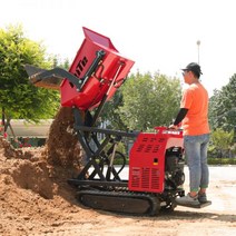 전체 유압 500Kg 적재 용량 212CC 7HP 가솔린 엔진 구동 배 로우 미니 트랙 덤퍼, CHINA, LT-D05A, 01 LT-D05A