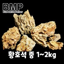 BMP 수조 레이아웃 황호석 중 1kg~2kg (사이즈 랜덤)
