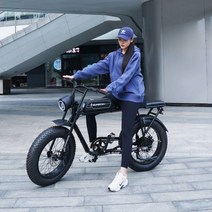 프리미엄 전기자전거 로드자전거 클래식 합작 전기 MTB 출퇴근 강아지 자전거 바이사이클 산악, 01, 48V_18AH