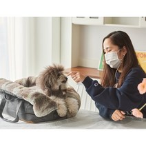 코지힙 보금자리 쓱백 방석과 이동가방겸용 강아지 캐리어 숄더백 이동장 고양이 이동장, 라이트그린