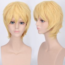 다소미얼 미용가발 가발 곱슬머리 오픈반가발 남성 정수리가발 붙임머리 스트레이트 WG20102738Z, 12 프 린스 김