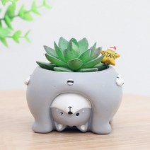 ROOGO 루고 다육이 미니화분 거꾸로 보는 세계 고양이 (다육식물 불포함)