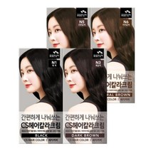 꽃을든남자 간편하게 나눠쓰는 CS 헤어칼라 크림 염색약 염모제, 3개, N6자연갈색