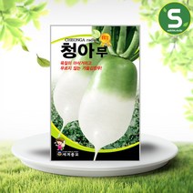 김장무씨앗 15g 청아무 가을김장무씨앗 가을무씨앗, 단품
