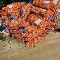 농랑부랑 2023년 햇마늘 서산마늘 태안 마늘 저장용 5kg 특품 마늘, 마늘 특품(망) 5kg, 1개