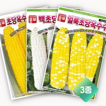 흥농상사 초당옥수수 씨앗 3종 묶음 셋트