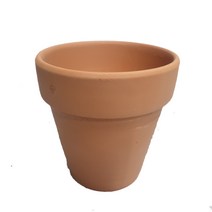 도도팜 1+1 스파트필름/ 호야 테이블야자 고무나무 행운목 스킨답서스 아이비 천냥금 파키라 율마 금전수 나도풍란 리사호야 금전수 보석금전수 문샤인 스투키 토분 공기정화식물, 37. (1개)토분(10cm) 1개