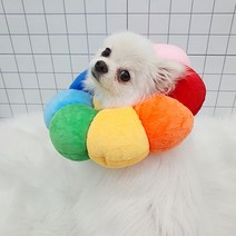 강아지 고양이 중성화 넥카라 목쿠션, 오렌지, M