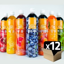 까르페데이 과일음료 베이스/대호액상 1000ml(12개 1박스), 1000ml, 12개