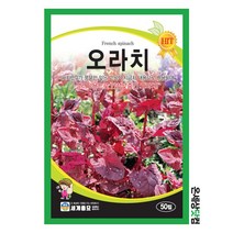 맛깔백다다기 50립 / 오이씨앗 오이씨 베란다텃밭 오이종자