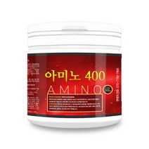 웨이테크 아미노 400 300g 근육 단백질 헬스보충제 /아미노산, 1