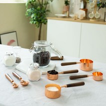 미즈앙플라스 스텐 계량스푼 로즈골드 계량스푼 우드핸들 나무목 계량스푼 이유식 커피 계량스푼 계량컵 1T 20g 15g 5g 3g 1g 60ml 80ml 125ml 250ml, 로즈골드 8종세트, 1개