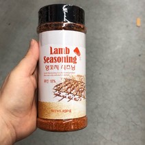 티알아이 양꼬치 시즈닝 250g, 1개