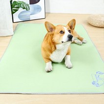 [우수제품] 강아지쿨매트 고양이쿨매트 애견쿨방석 냉매트 소형 50X40 강아지방석 강아지대리석 강아지침대 애견쿨매트 강아지쿨방석 강아지쿠션 고양이방석 고양이쿨방석 강아지쿨패드 강아지 아이스매트 쿨젤매트 쿨링매트, 블루 소형