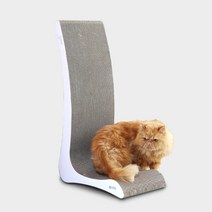 뽀떼 스크래쳐 T7